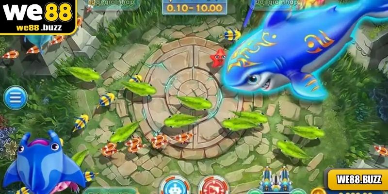 Phòng trung cấp với những đàn cá lớn để hạ gục