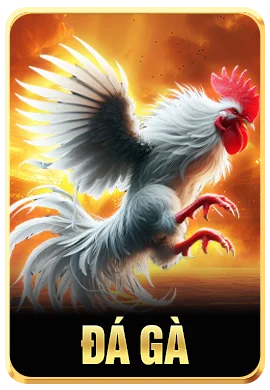 Đá Gà