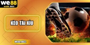 Mẹo Đánh Kèo Tài Xỉu Dễ Ăn Dựa Trên Phân Tích Từng Loại